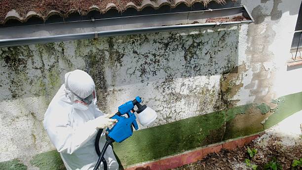 Top rated local Mold Remediation specialists in Exton, PA